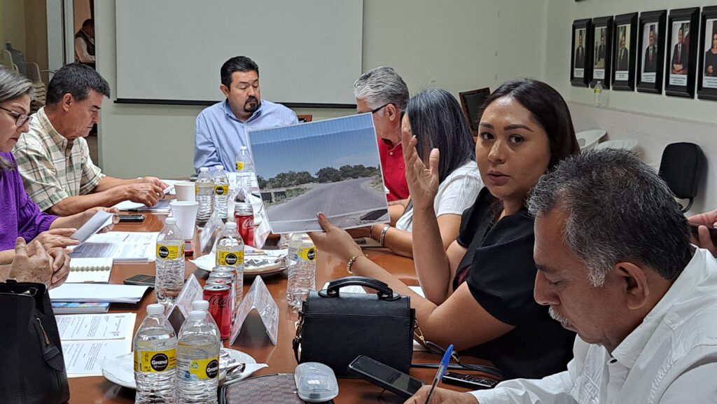 Ingrid Alicia López Sagaste hablando sobre la iniciativa de colocar barras de contención para la carretera Guamúchil-El Salitre