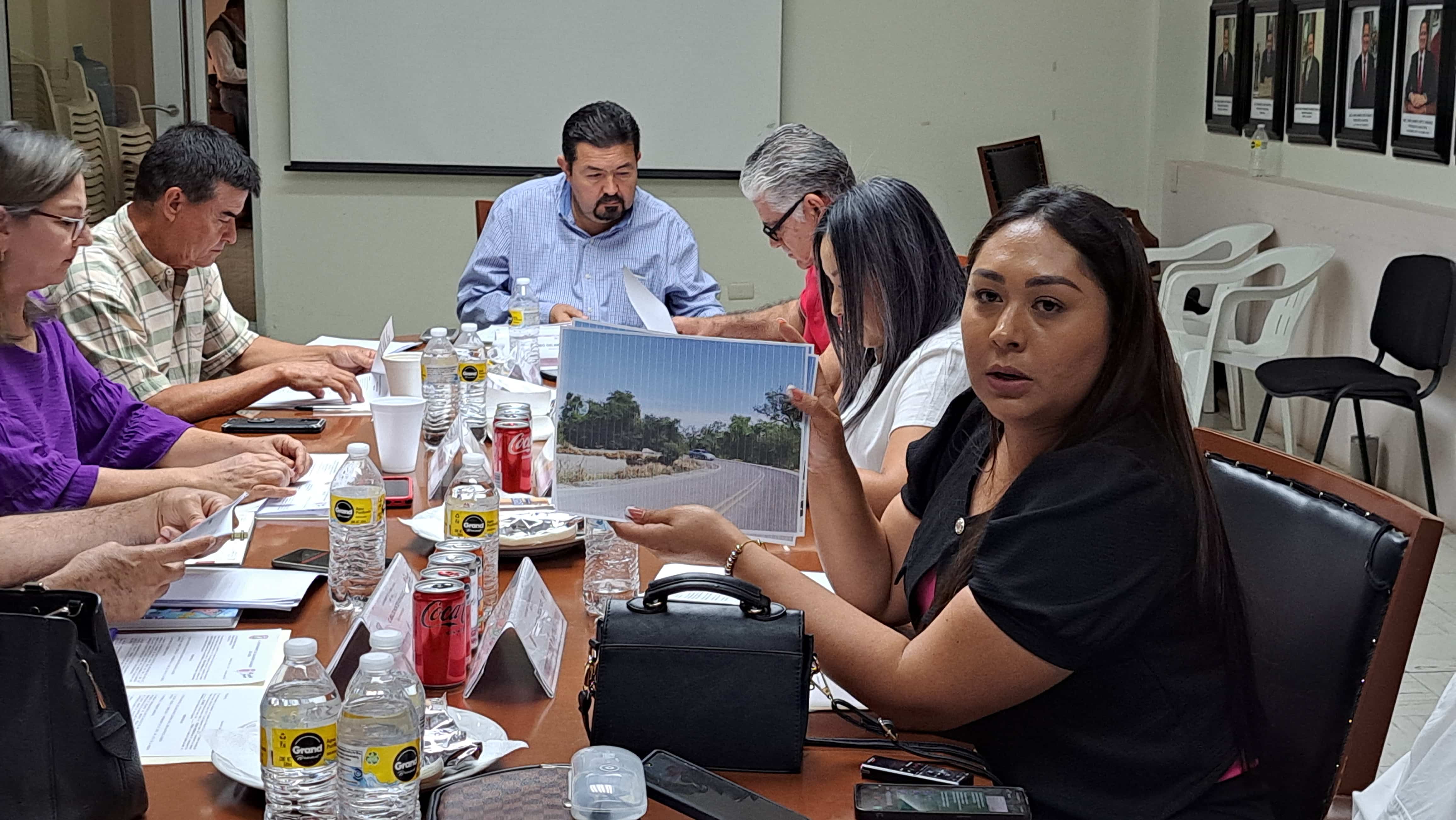 Ingrid Alicia López Sagaste hablando sobre la iniciativa de colocar barras de contención para la carretera Guamúchil-El Salitre