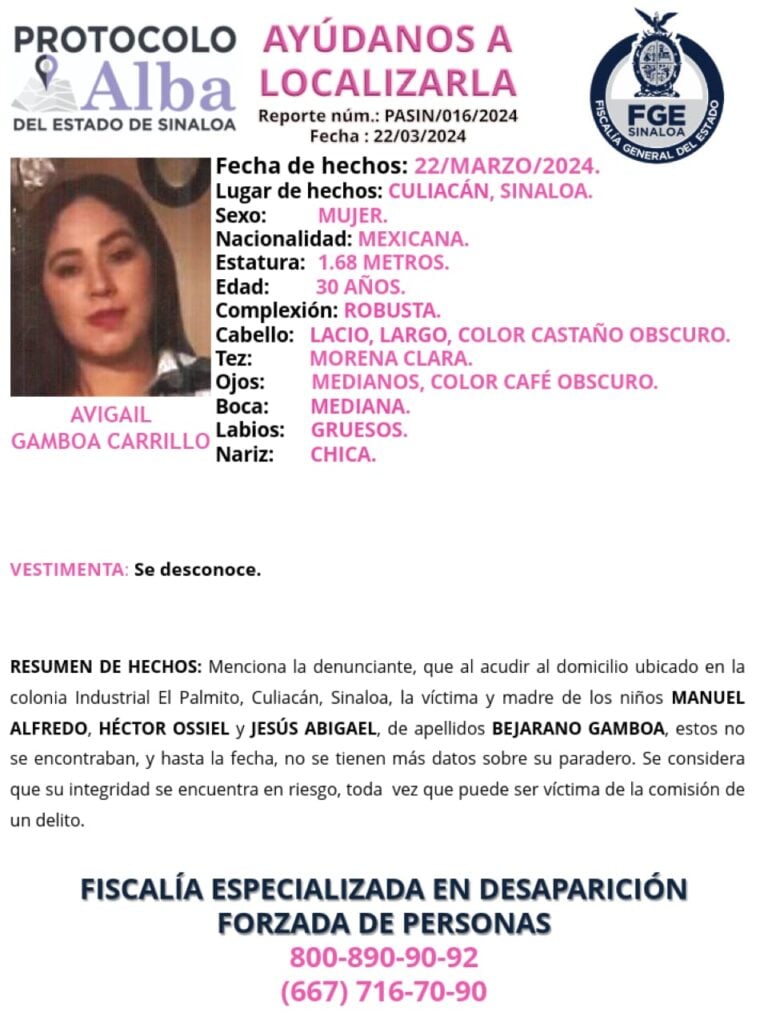 Ficha de búsqueda de Avigail Gamboa Carrillo