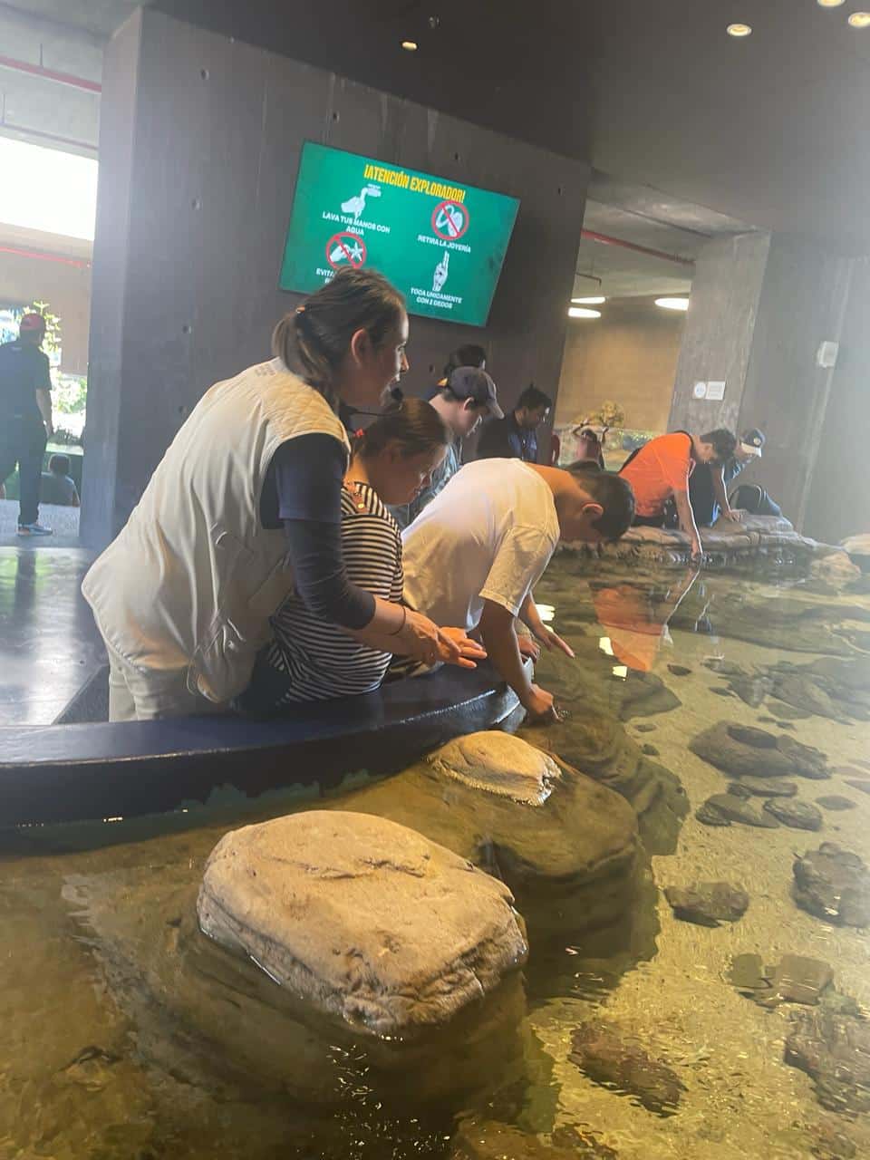 Celebración del del Día Mundial del Síndrome Down en el Gran Acuario Mazatlán