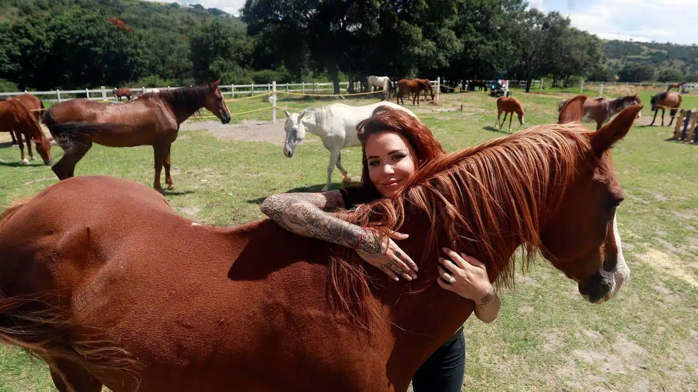 A poco de la muerte de Elena Larrea, Puebla anuncia reformas encaminadas al bienestar animal