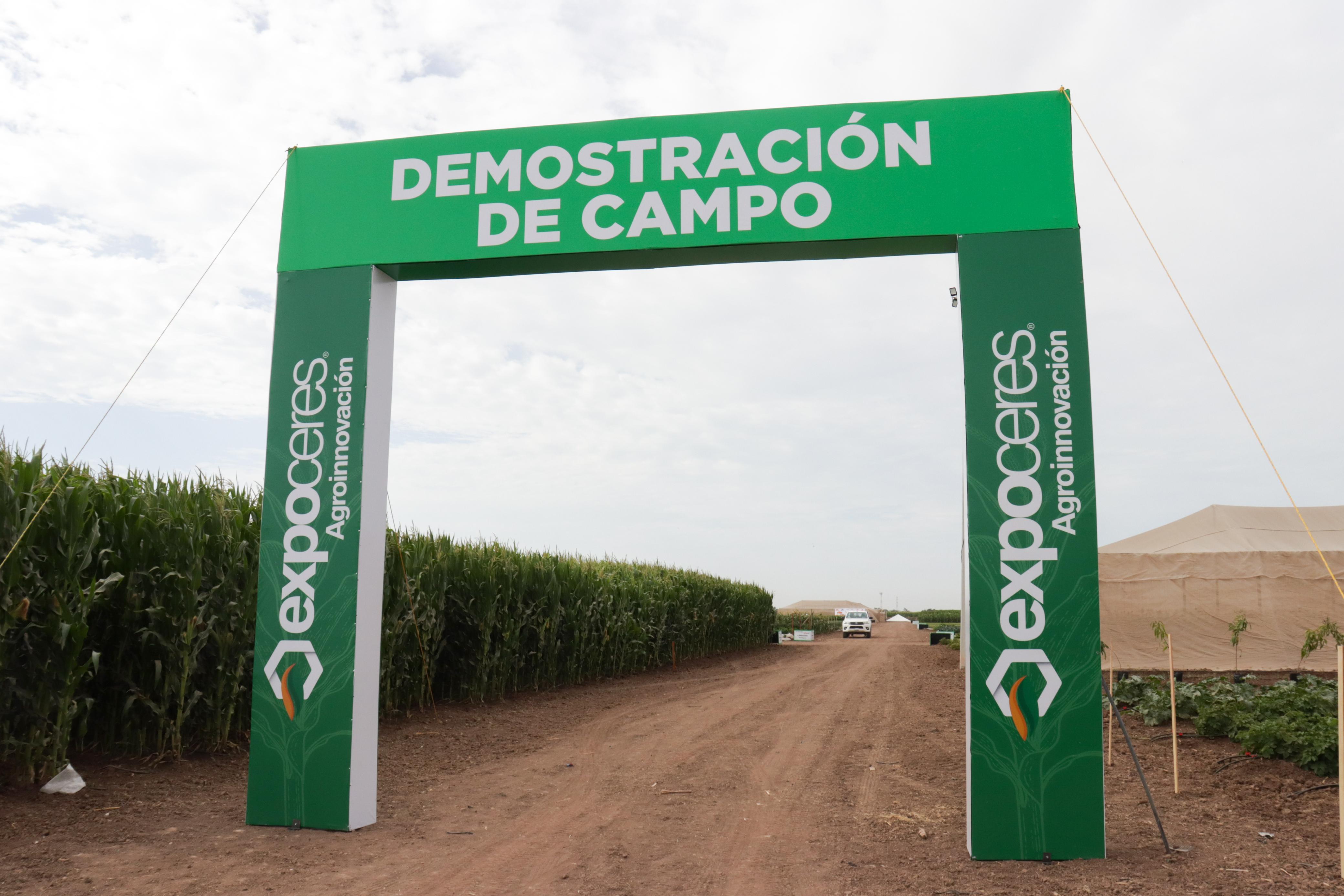 Área de demostración de campo