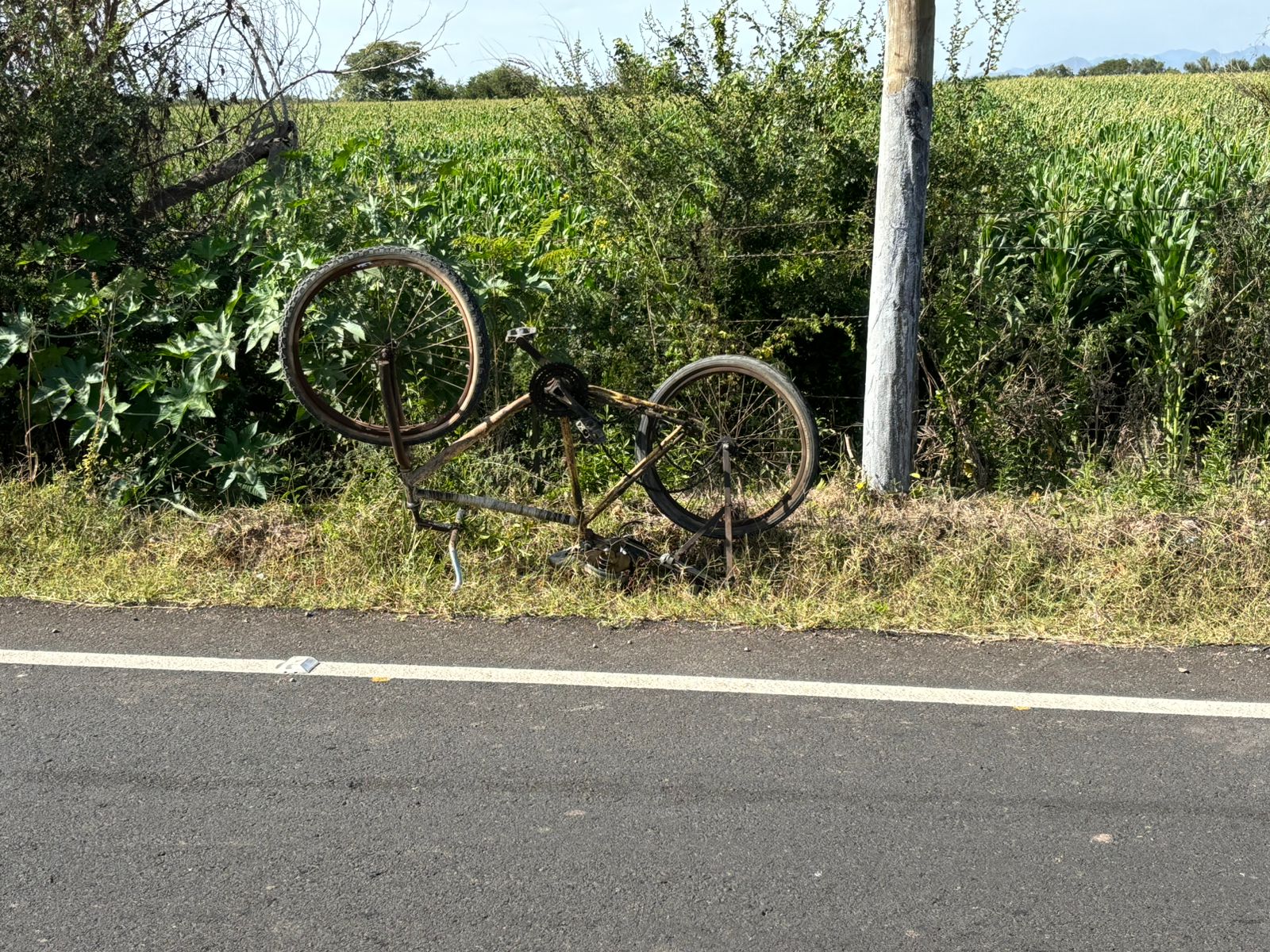 El hombre que iba en su bicicleta fue embestido por un automóvil.