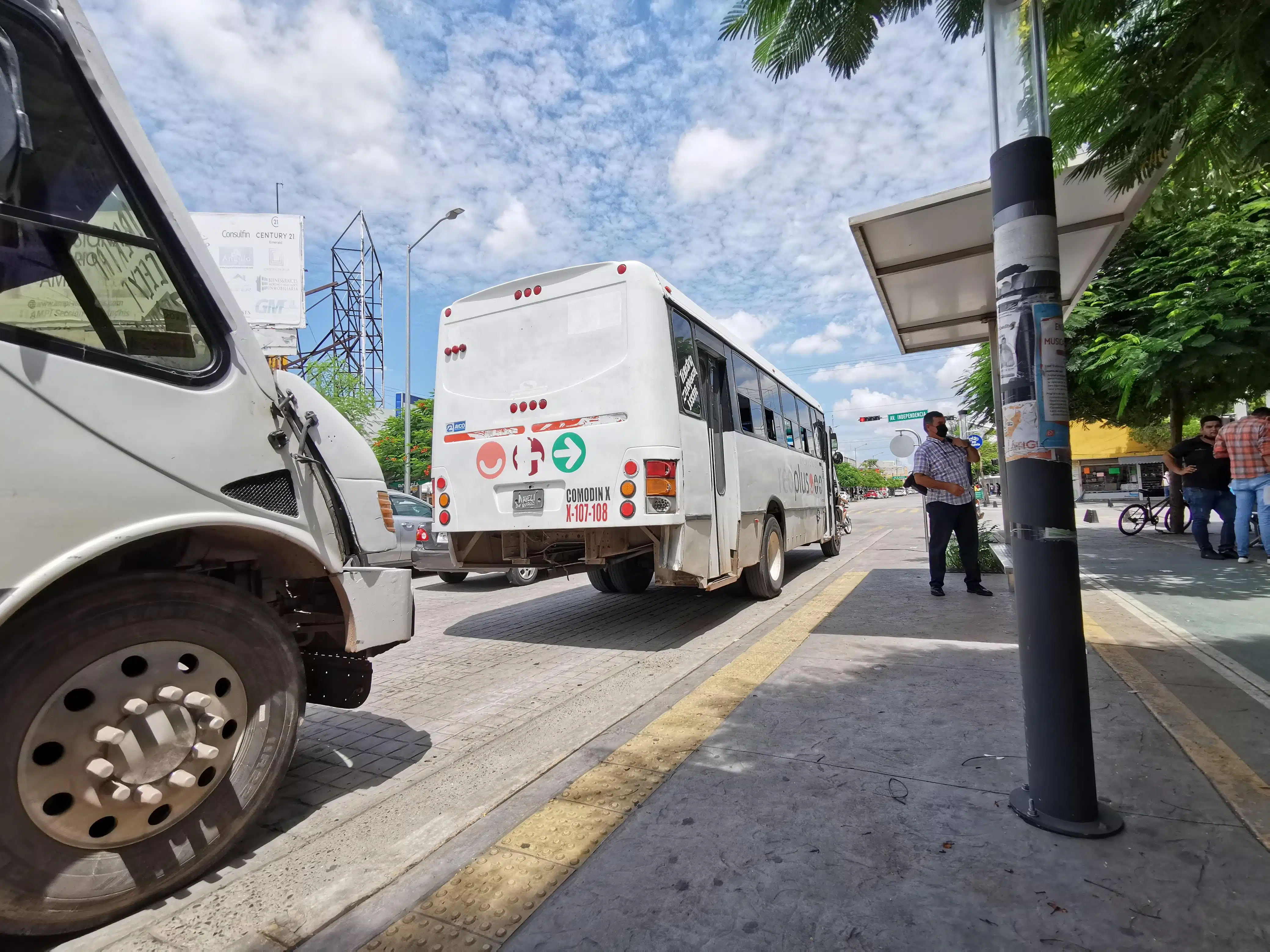 Autobuses del transporte público en el sector Centro de Los Mochis