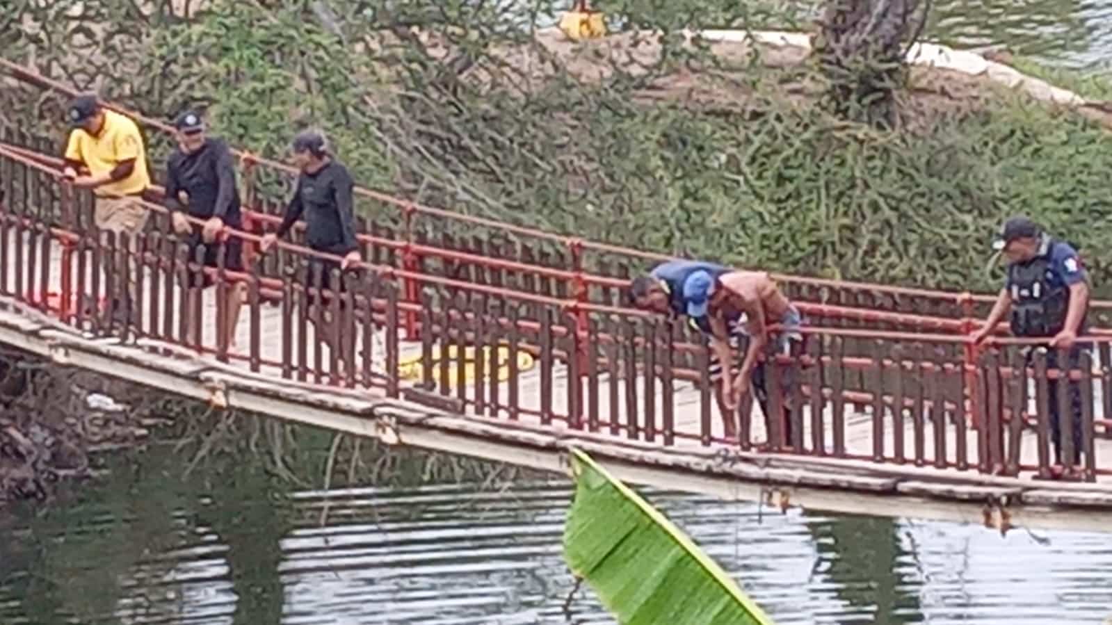 puente colgante a la Laguna del Iguanero
