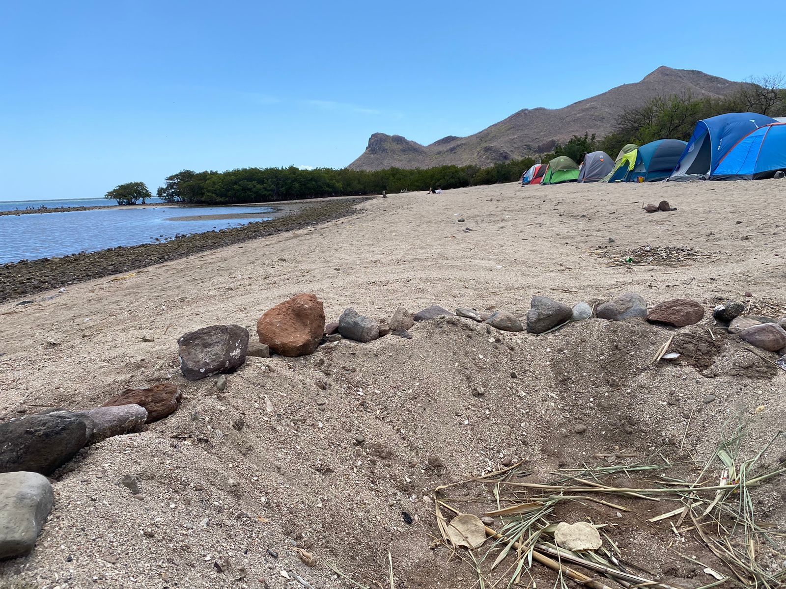 Bahía de Navachiste, Guasave