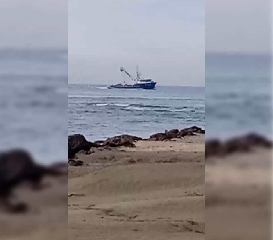 Barco sardinero