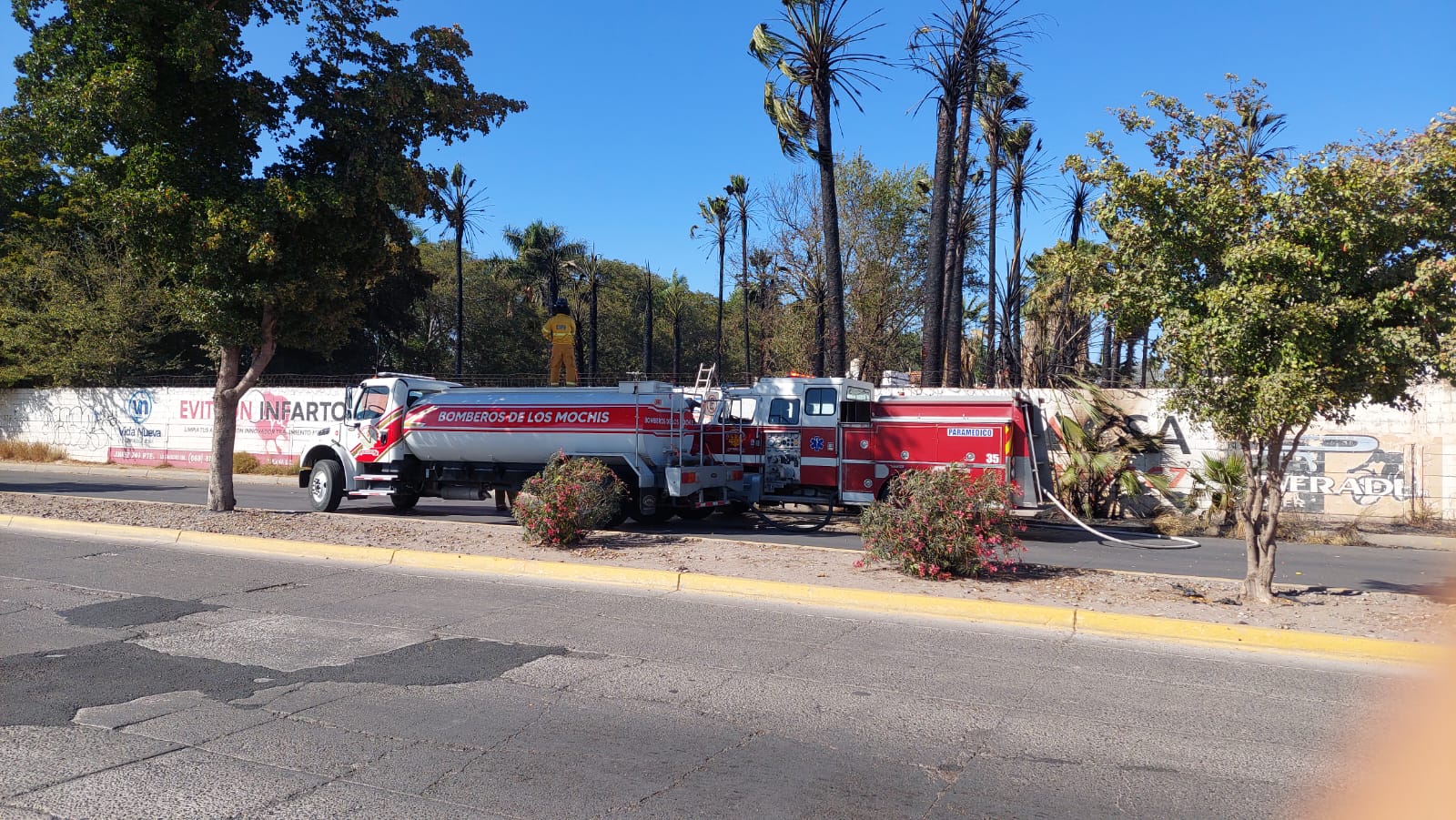 Cuerpos de emergencia tratan de sofocar el fuego.