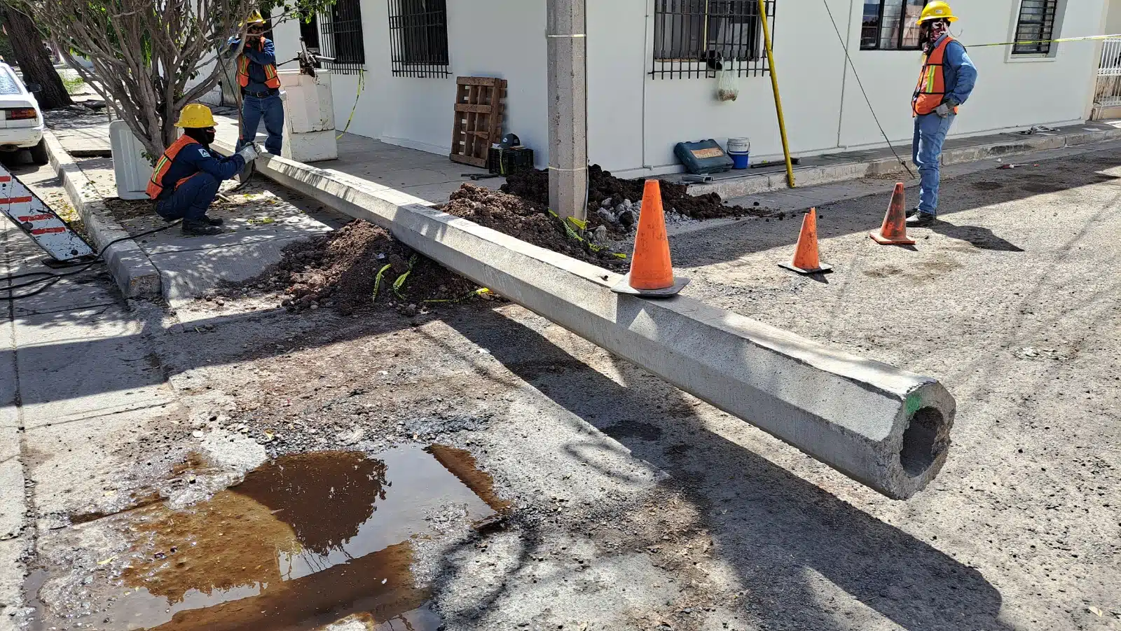 La CFE inició este jueves en Guamúchil el reemplazo de postes que fueron dictaminados en mal estado.