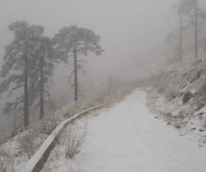 NEVADA EN sONORA