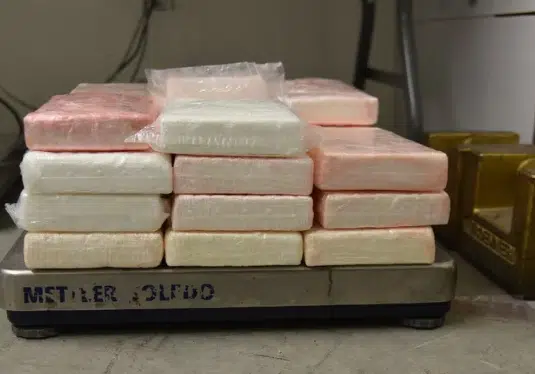 Aseguran más de 700 mil dólares en cocaína en frontera con Tamaulipas