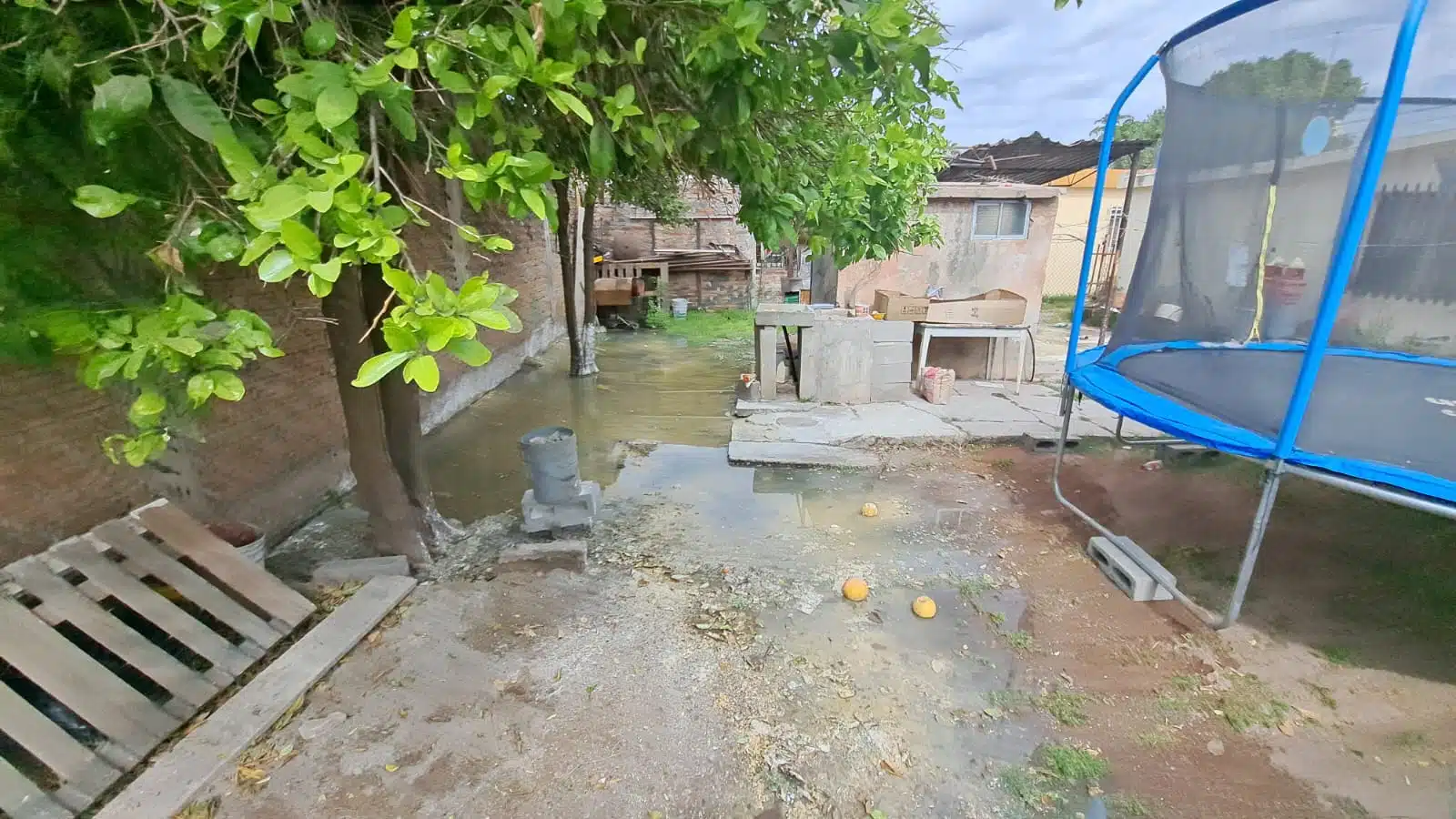 Patio inundado por aguas negras.