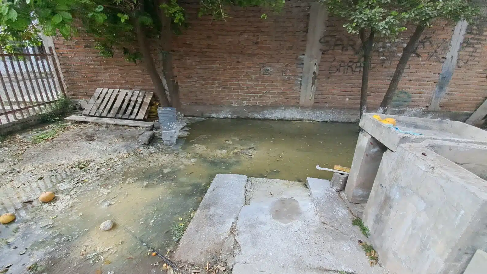 Patio inundado por aguas negras.