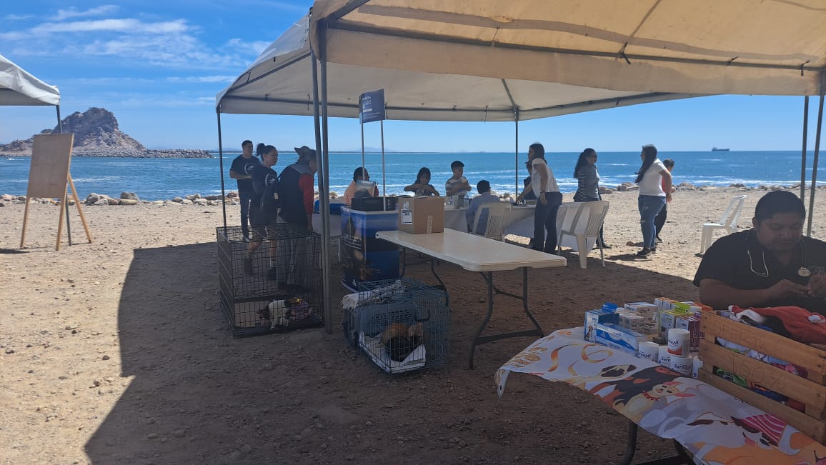 Personas en la escollera del Cerro del Crestón en la Feria de Esterilización y Adopción de gatos del faro en el Día de la Familia en Mazatlán
