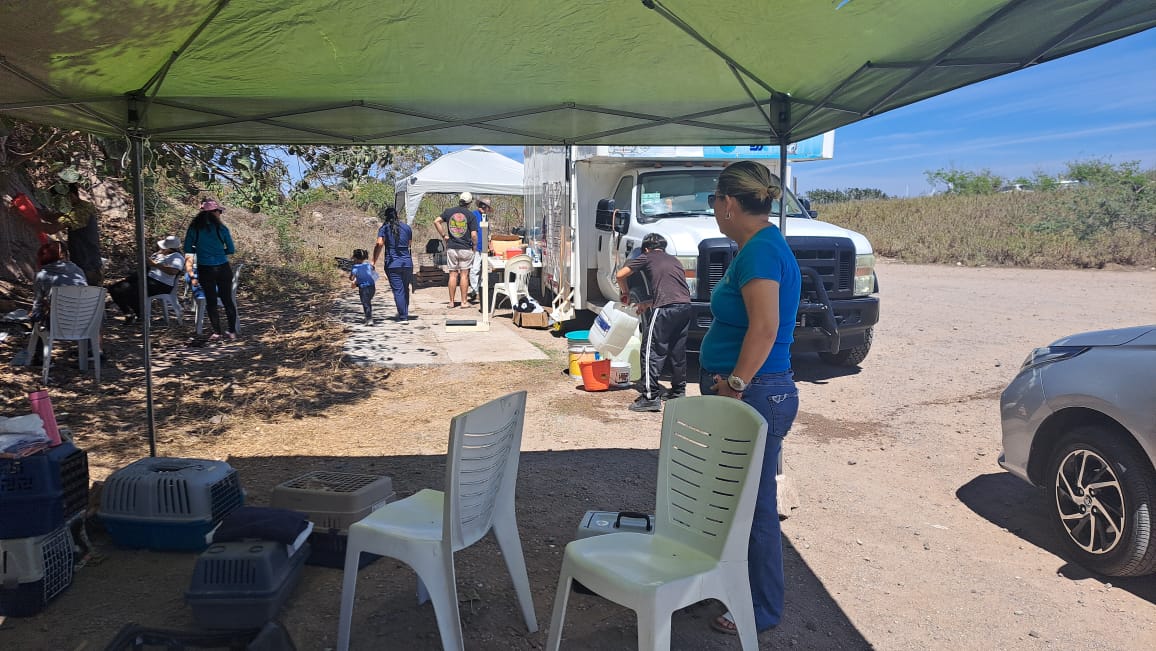 Personas en la escollera del Cerro del Crestón en la Feria de Esterilización y Adopción de gatos del faro en el Día de la Familia en Mazatlán