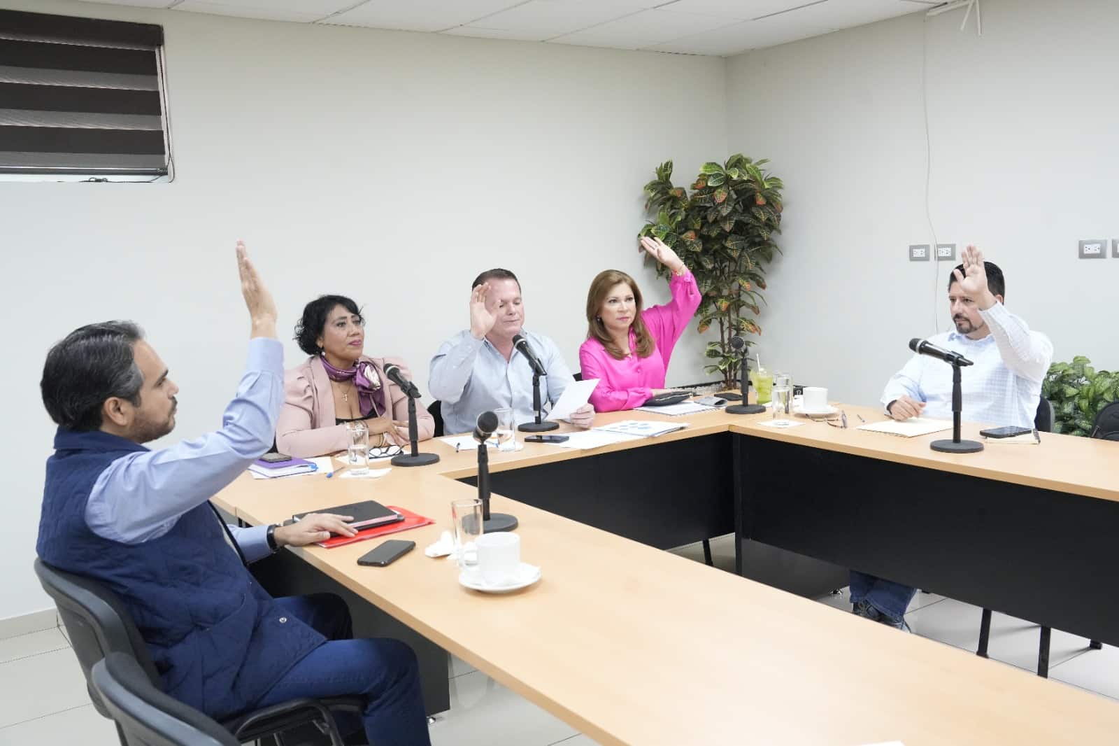 Adolfo Beltrán Corrales, Mónica Armenta Elenes, Sergio Mario Arredondo Salas, Gloria Himelda Félix Niebla y Rubén Miranda López, presidente, secretaria y vocales,