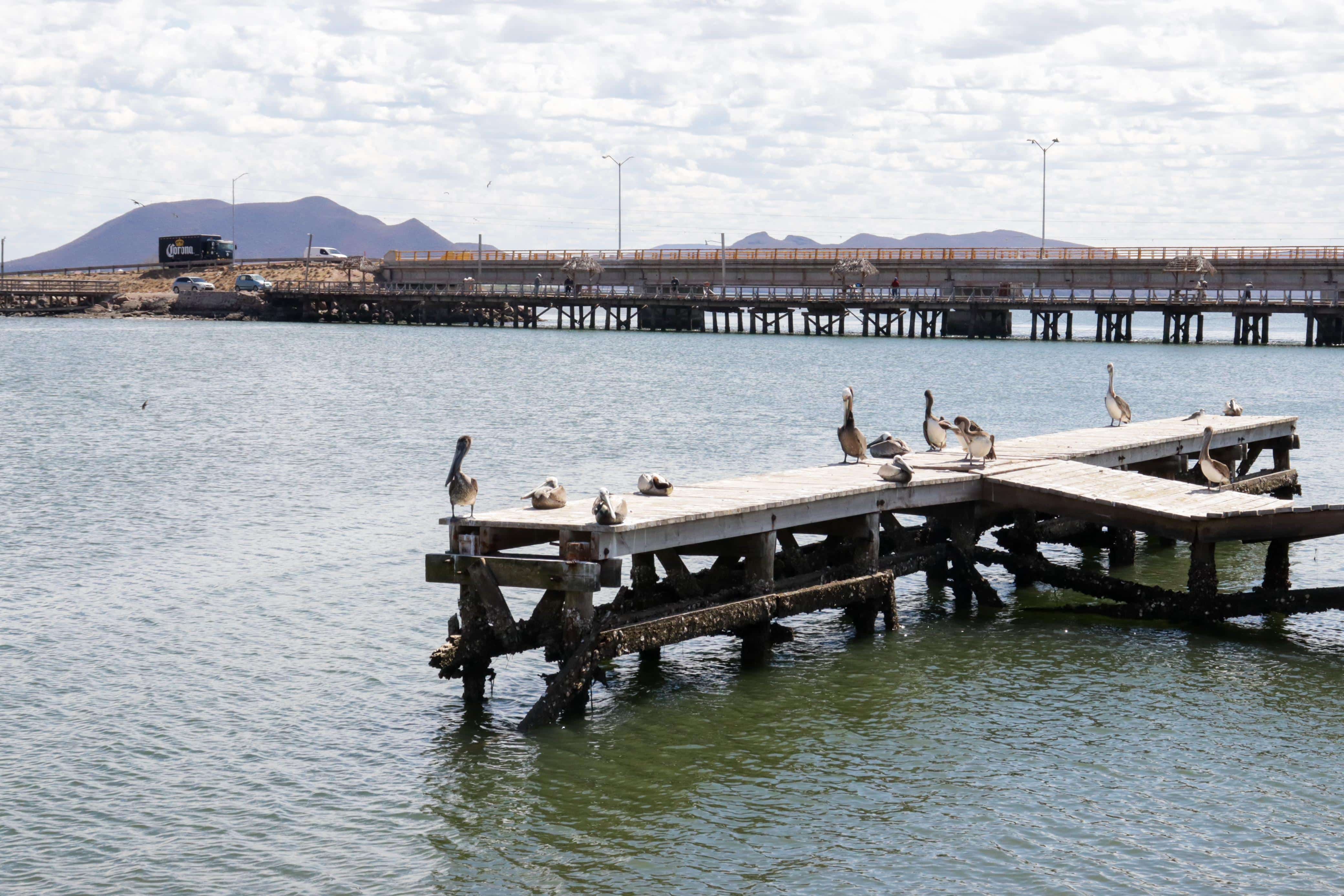 Playa El Maviri