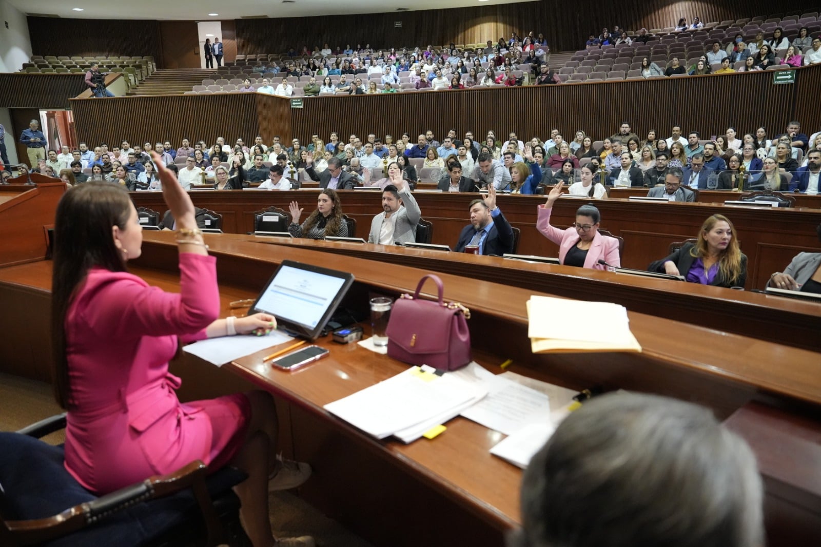Diputados en el pleno