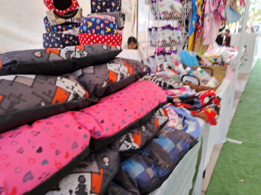 La Expo Mujer representa una oportunidad de colocar sus productos en un lugar de concurrencia familiar.