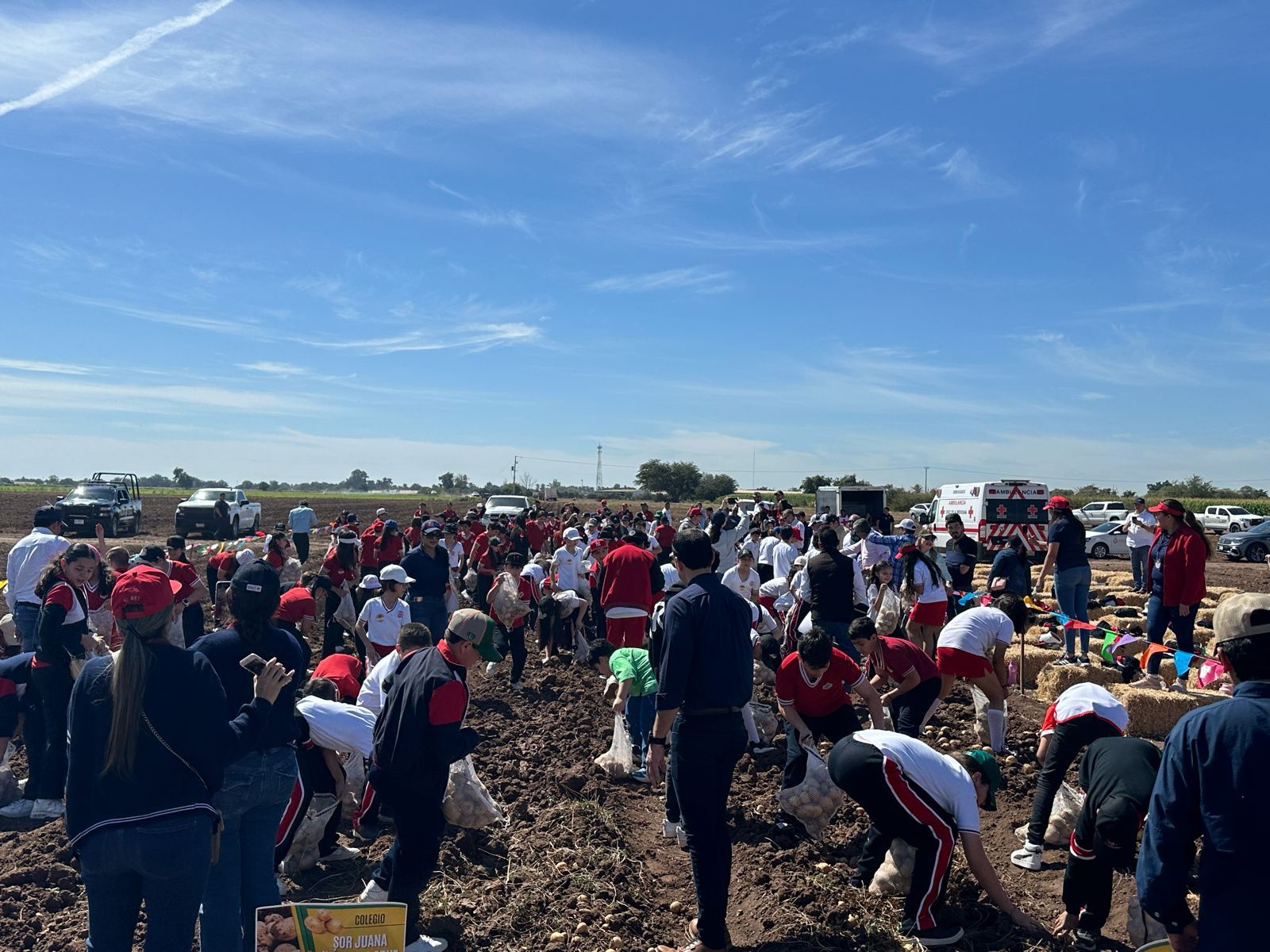 FESTIVAL DE LA PAPA GUASAVE4