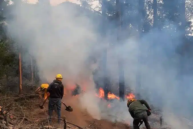 Fallecen tres brigadistas que combatían incendio forestal en Edomex