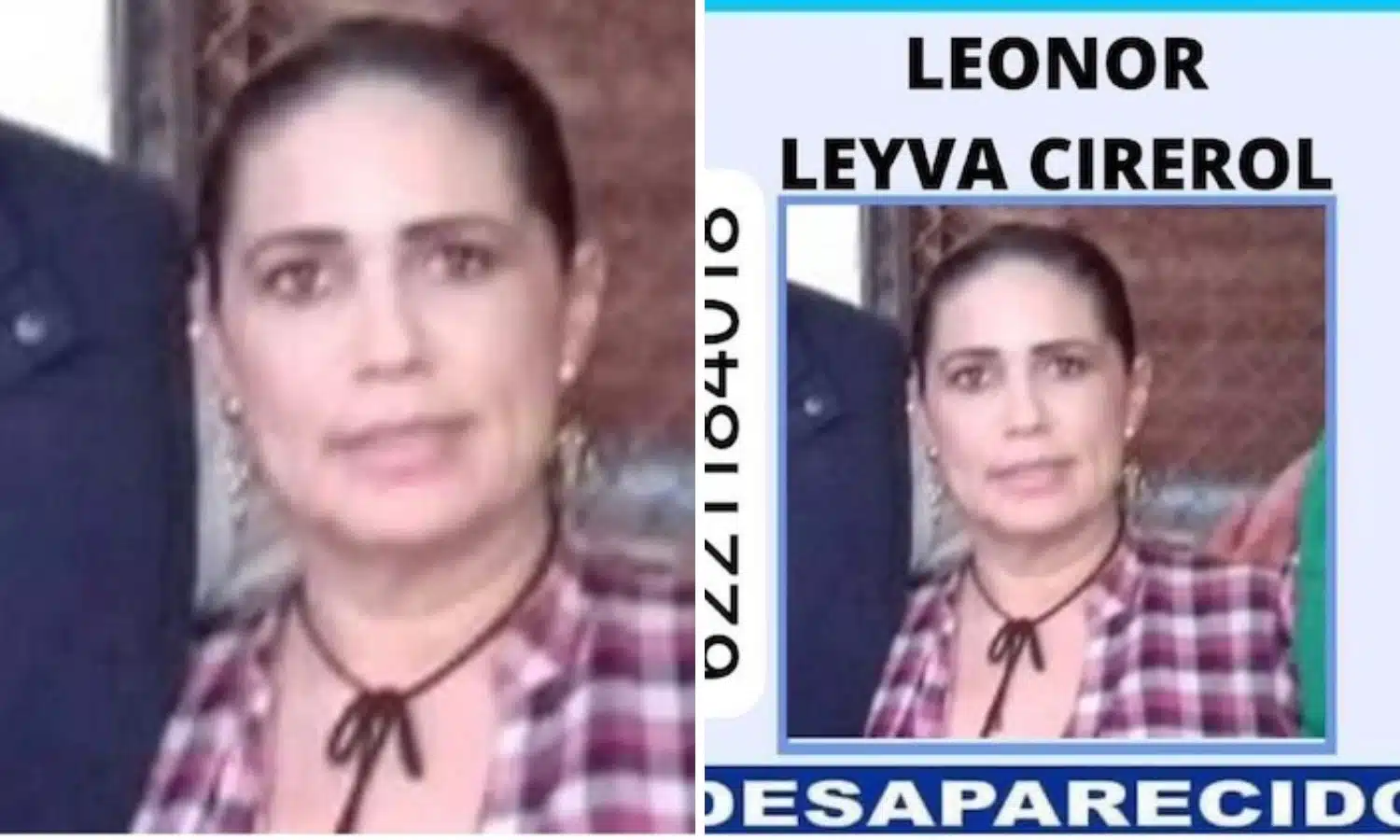 Hallan cuerpo de la activista Leonor Leyva en una fosa clandestina de Sonora