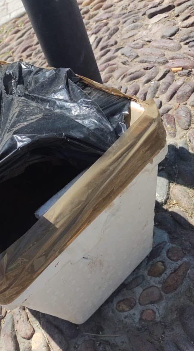 Hallan hielera con restos humanos en Aguascalientes