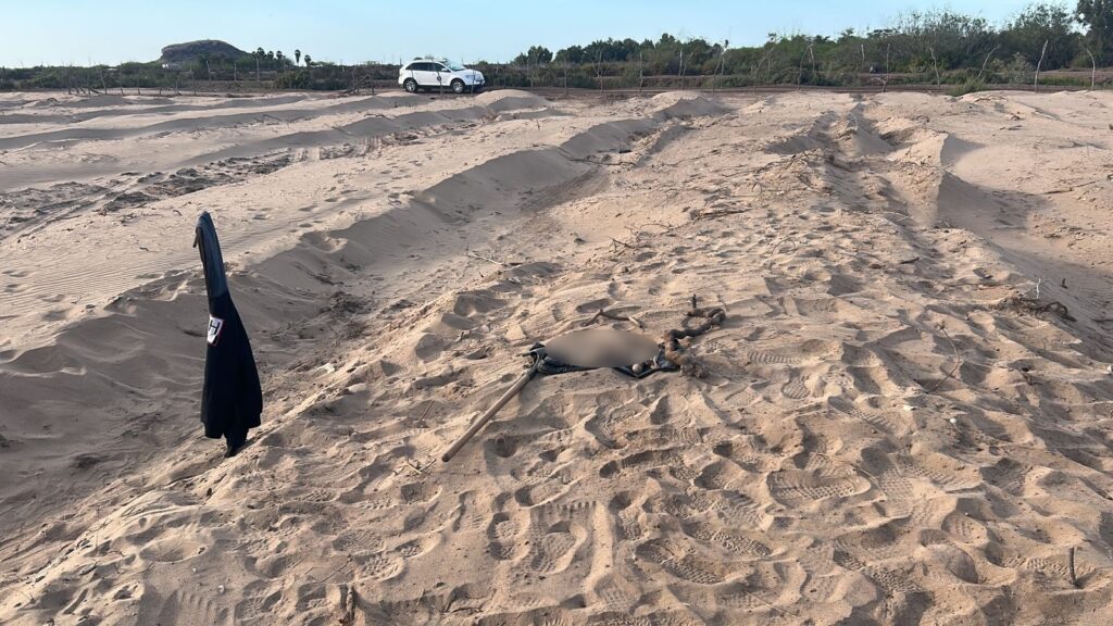 Restos humanos hallados por rastreadoras en Ahome