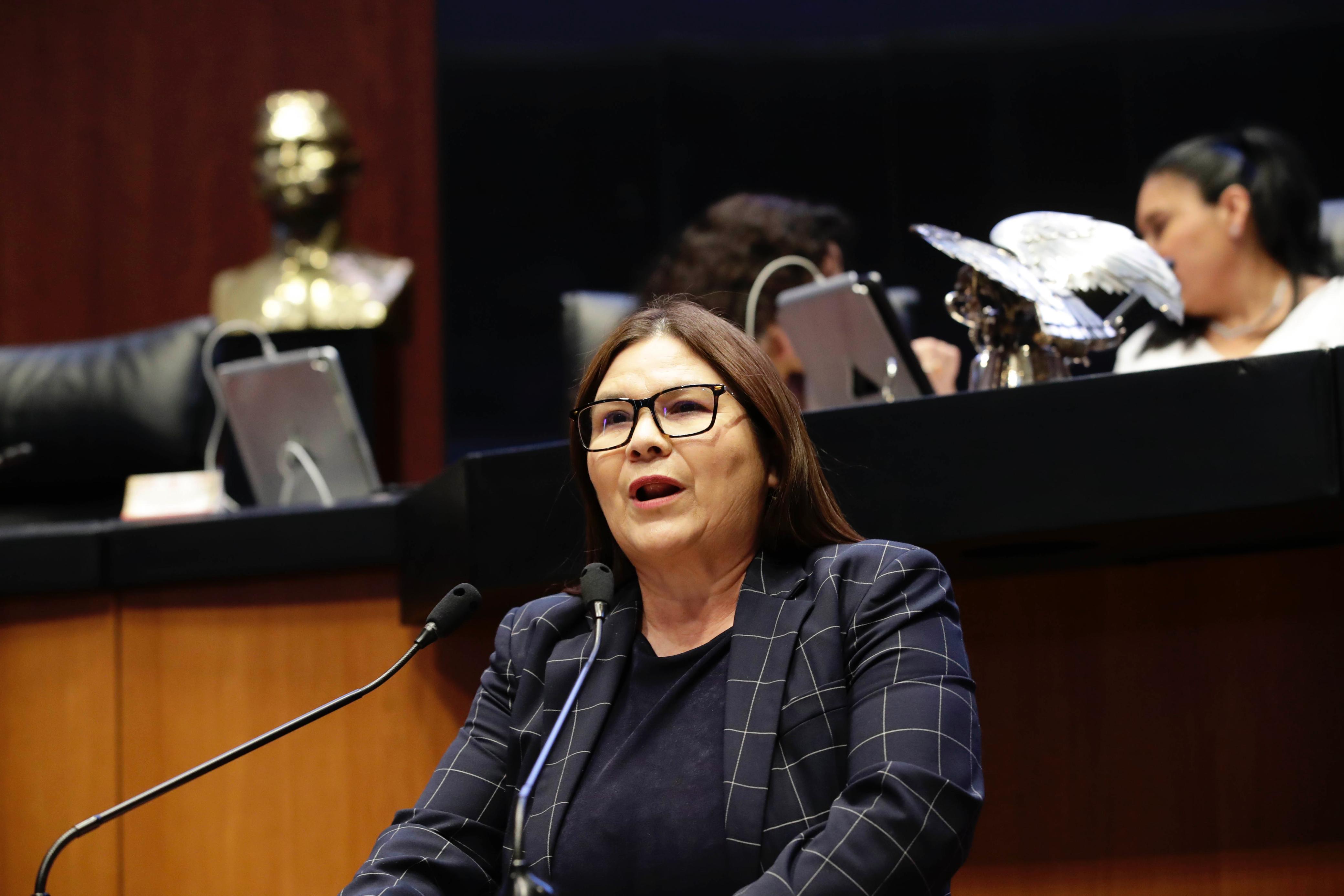 Imelda Castro Castro, senadora de Morena por Sinaloa, en la Cámara de Senadores