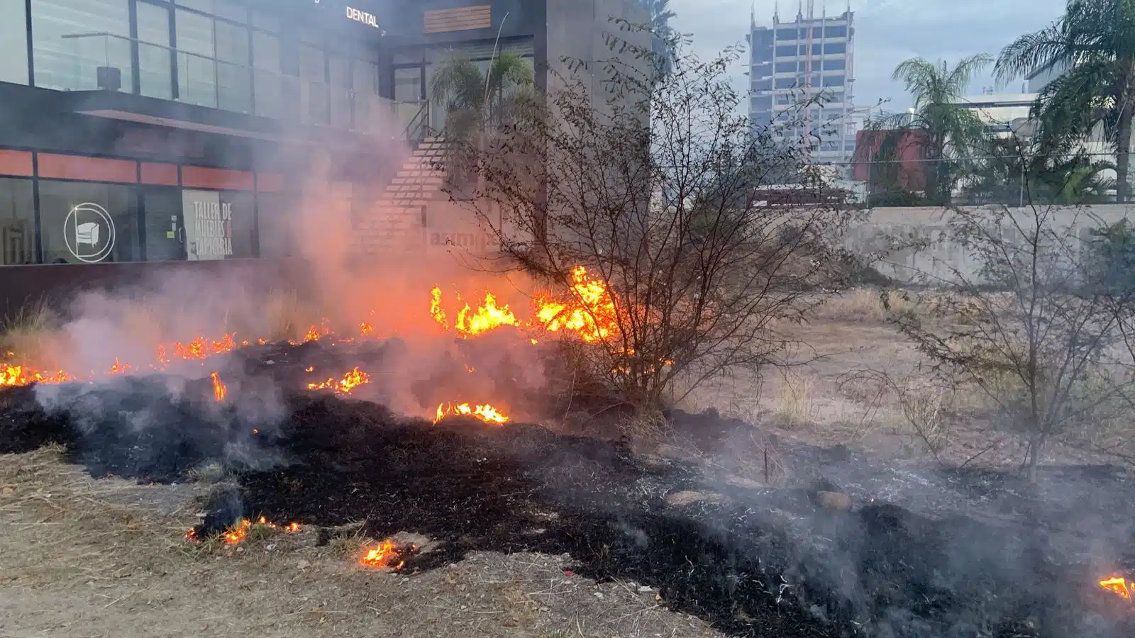 Incendio en un predio baldío del Tres Ríos en Culiacán
