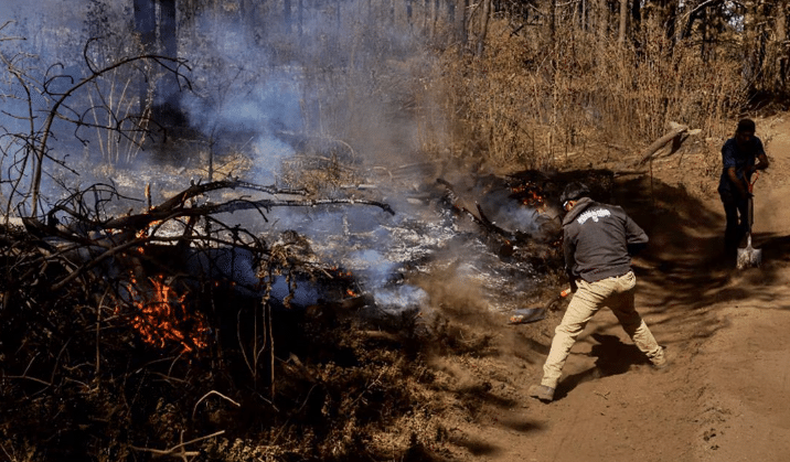 Reportan 130 incendios forestales en México