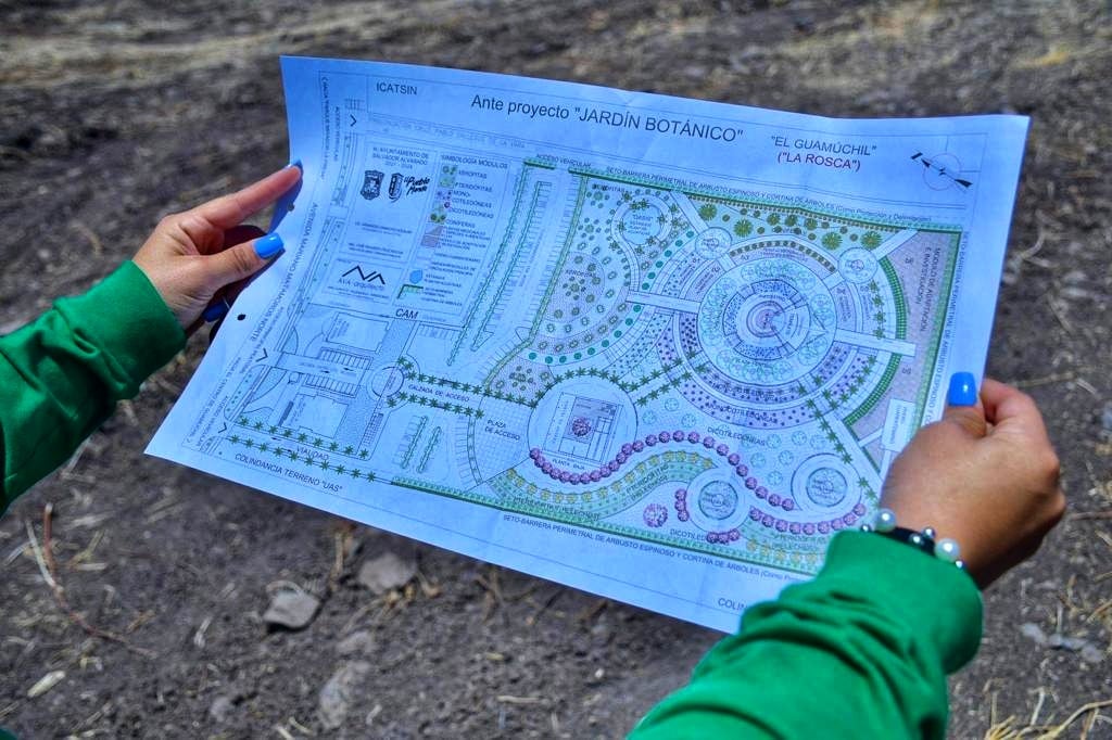 Planos del Jardín Botánico de Guamúchil