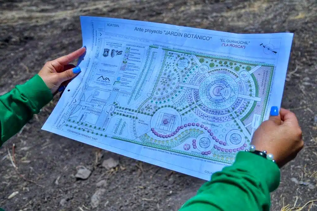 Planos del Jardín Botánico de Guamúchil