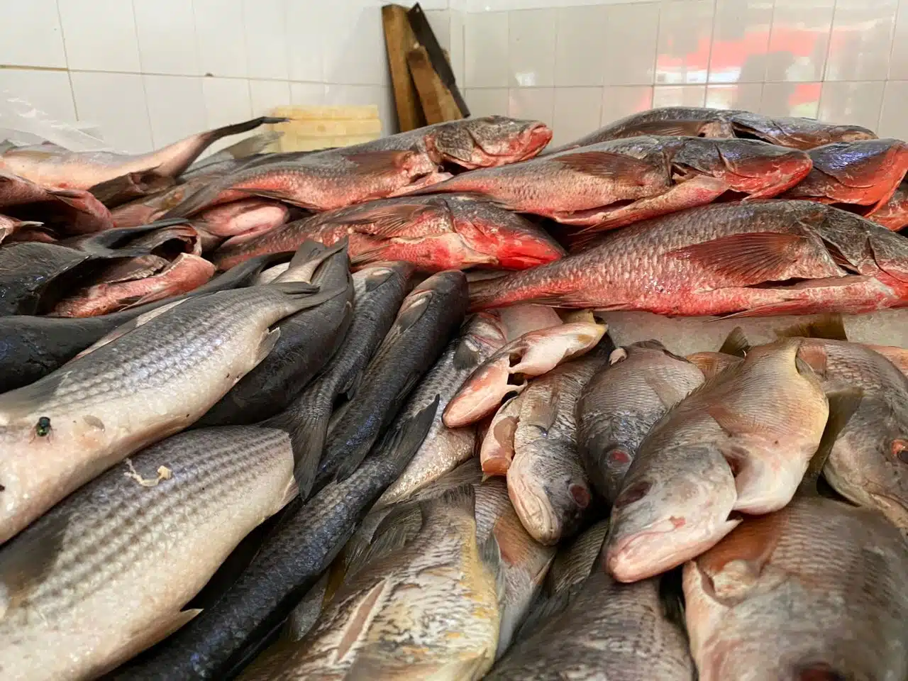 La venta de mariscos este año es muy baja.