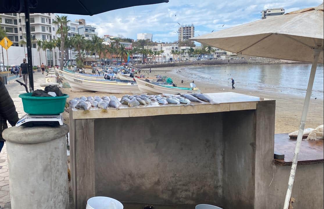 Venta de pescado en la orilla del mar en Mazatlán