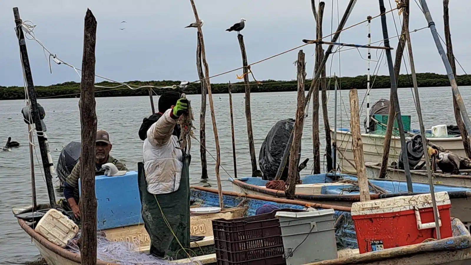 Pescadores de bahía en el norte de Sinaloa