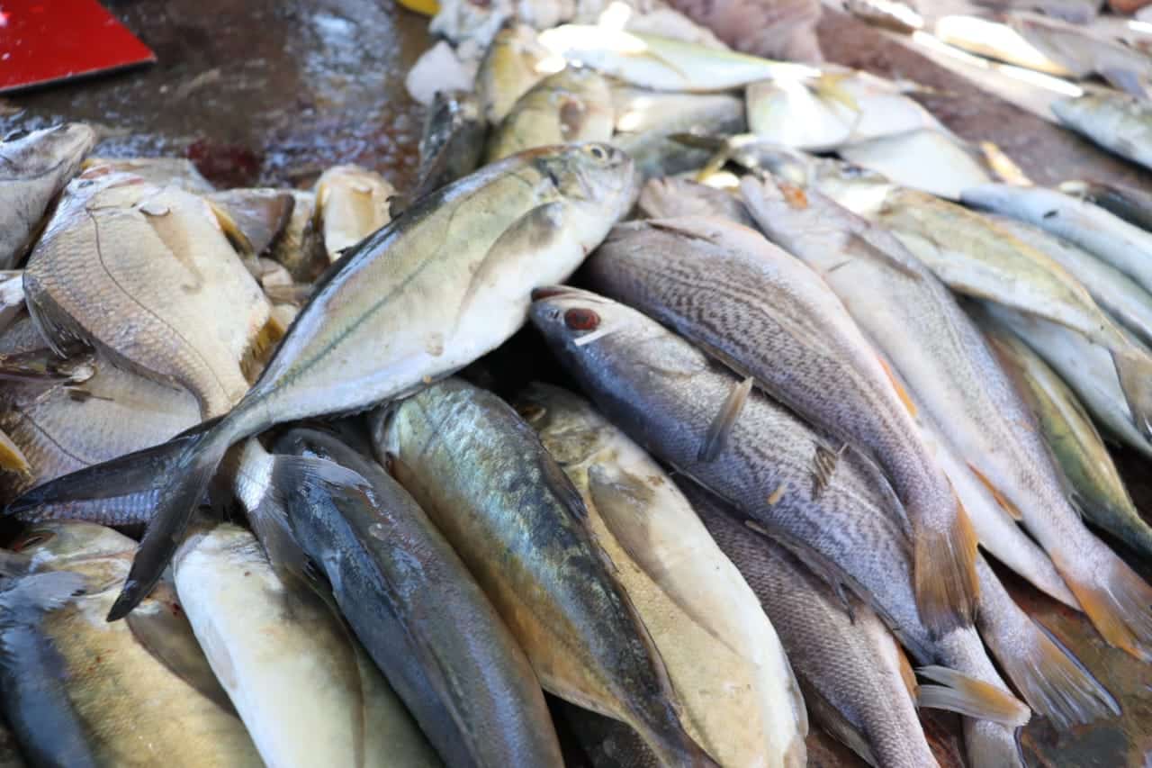 Pescados