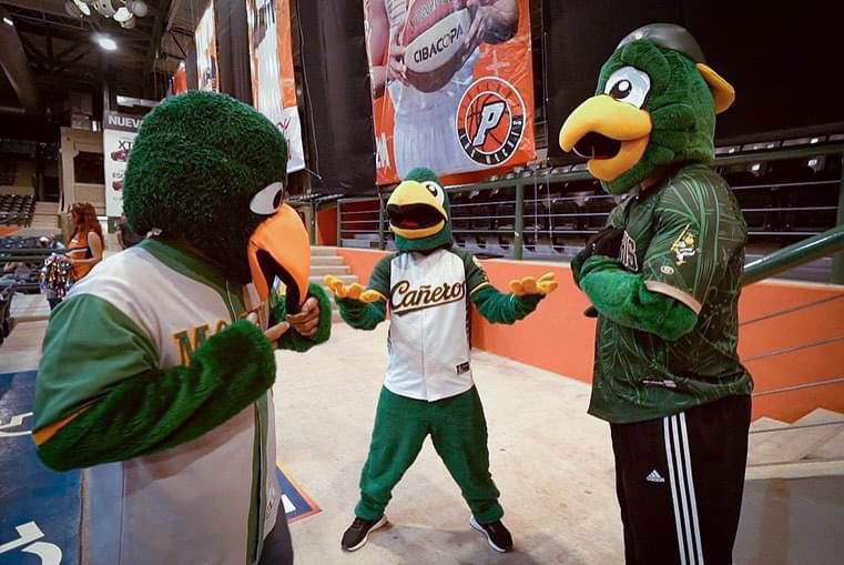 mascotas de Cañeros