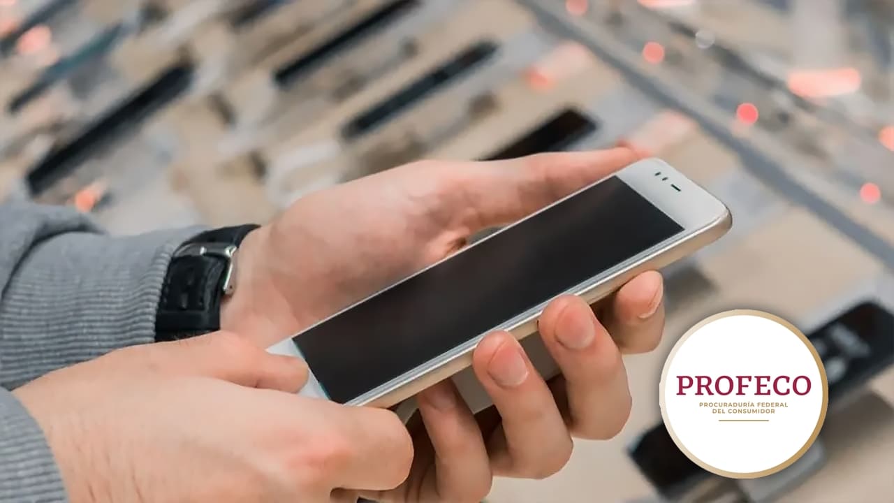 Las manos de una personas sosteniendo un celular y a un lado el logotipo de Profeco en un circulo