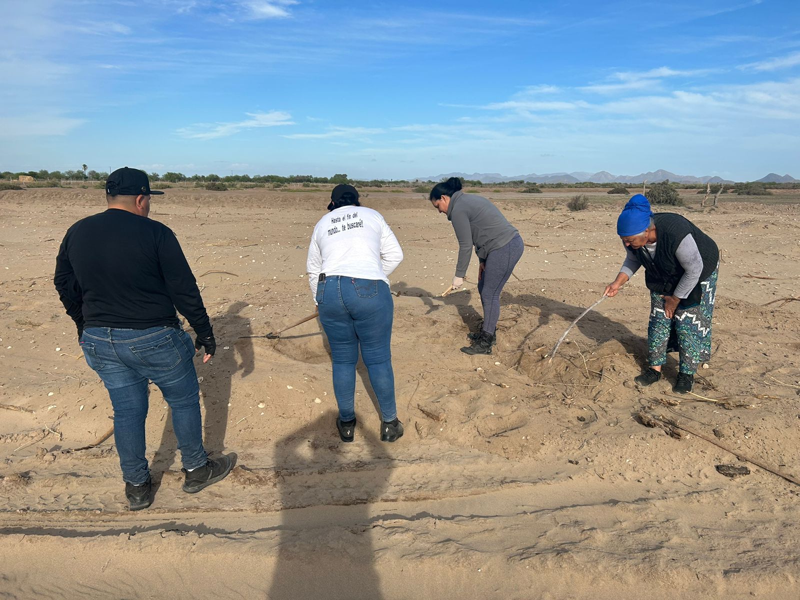 Rastreadoras buscando restos humanos en Ahome