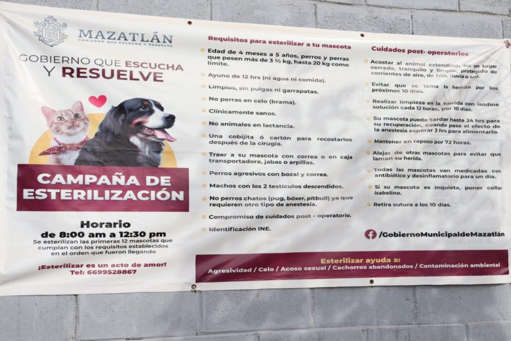 Actualmente están rescatando animales del basurón, que está en proceso de su cierre definitivo.