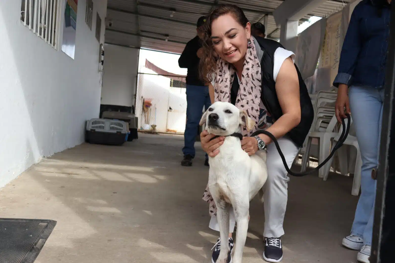 Cebica busca convertirse en un refugio temporal de animales sin hogar en Mazatlán