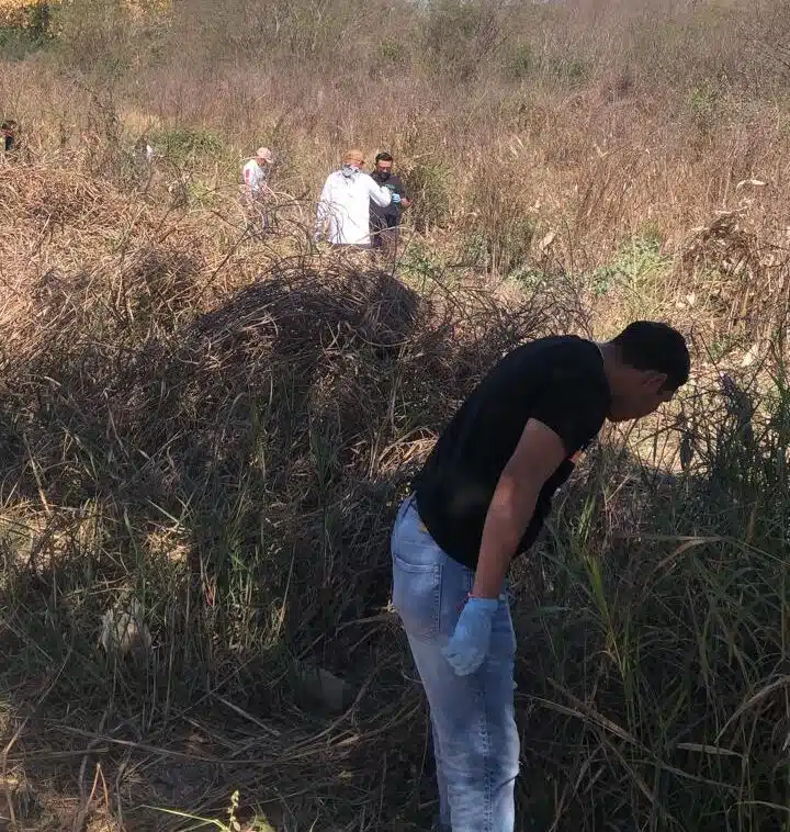 Hombres en un terreno enmontado buscando restos óseos