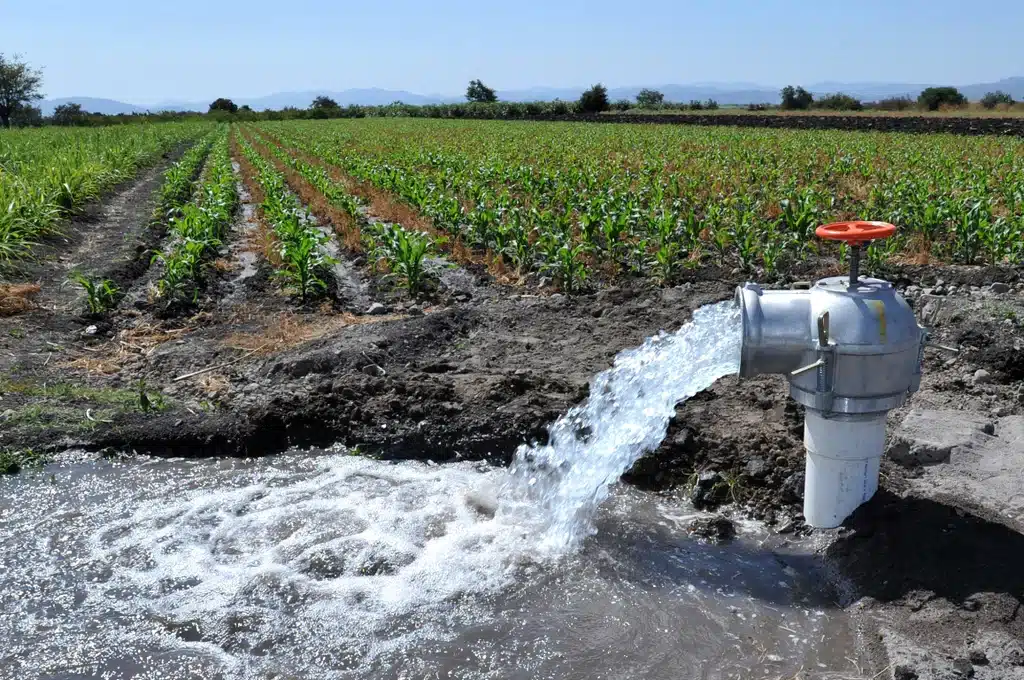 Agua para regar los cultivos