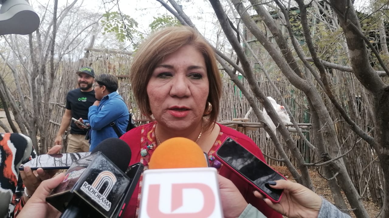 Secretaría de Bienestar y Desarrollo Sustentable (Sebides), María Inés Pérez Corral.