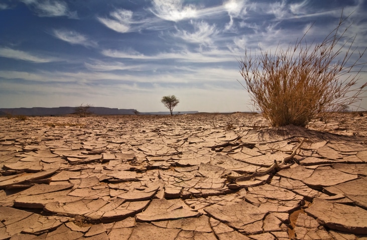 Zona en estado de sequía