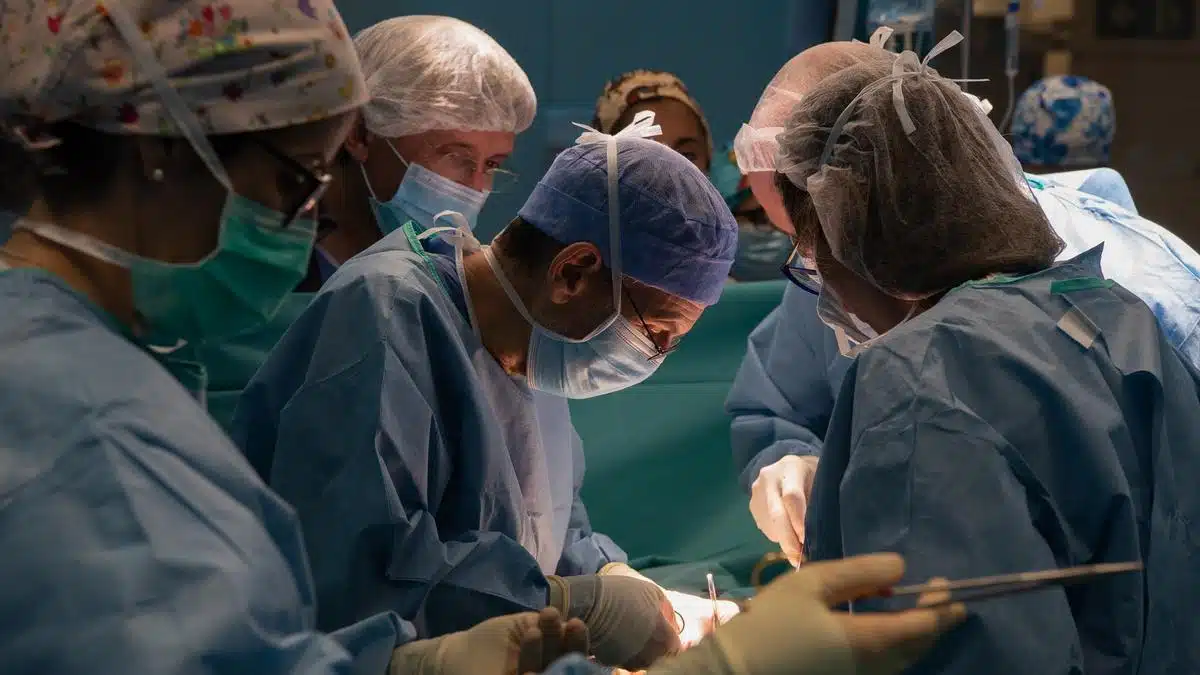 Trasplantan riñón de cerdo a paciente vivo por primera vez en EU