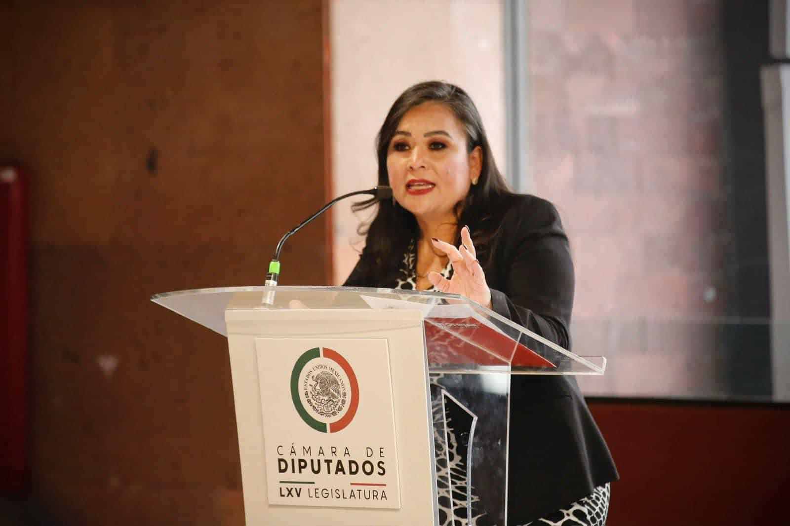 Diputada federal de Morena