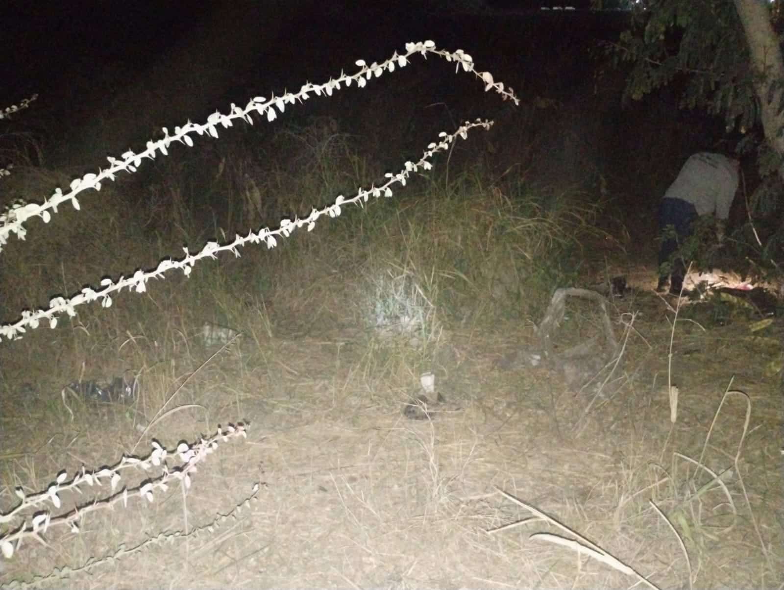 Osamenta en Mazatlán