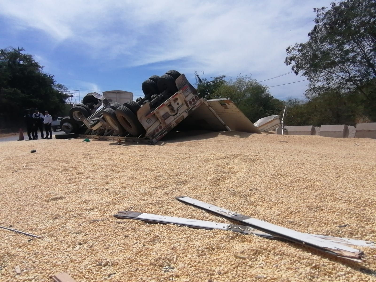 vuelca remolque cargado de maíz por la Guamúchil-Angostura